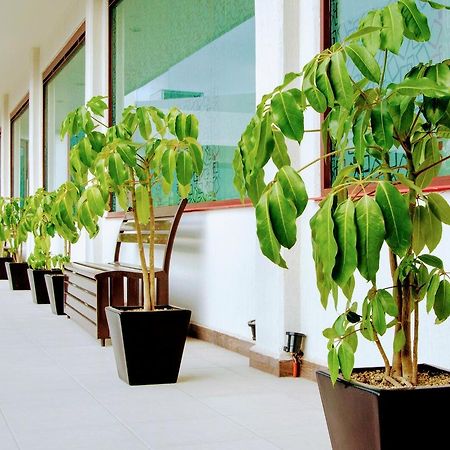 Hotel Boutique Luxury Pachuca Exterior photo