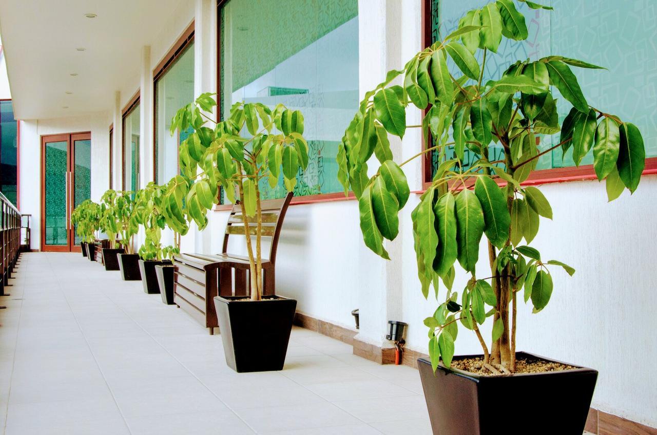 Hotel Boutique Luxury Pachuca Exterior photo